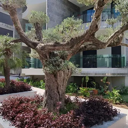 Apartment Enjoy The Aparment